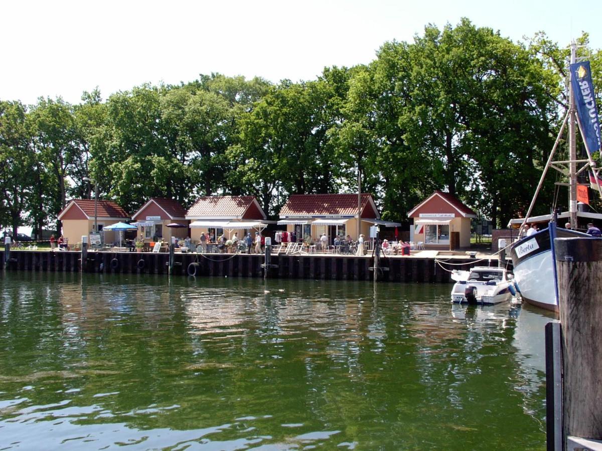 Fewo 102 Im Haus Katharina Mit Terrasse Lauterbach  Eksteriør bilde